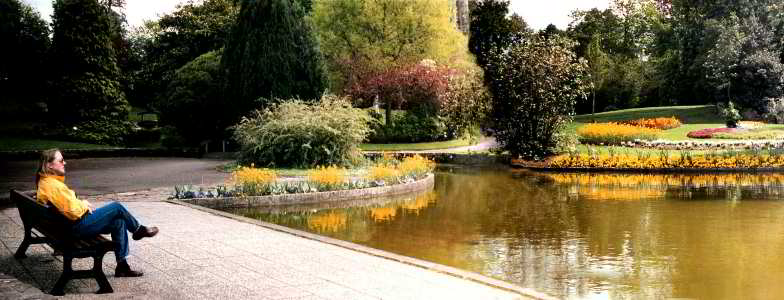jpg image