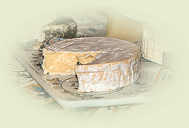 Camembert